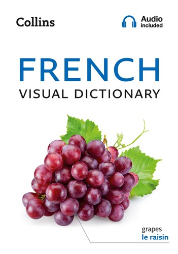 French visual dictionary - visual, a